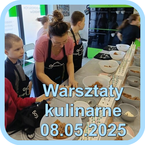 25.05.08 warsztaty