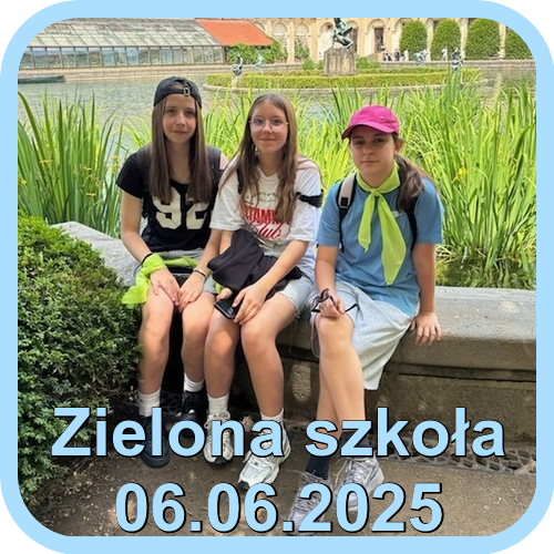 25.06.06 ziwlona szkoła